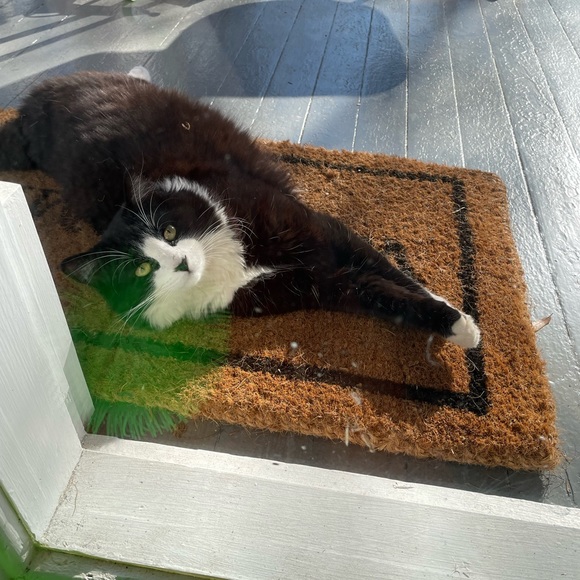 Meet your Posher, Cassie - Picture 14 of 15